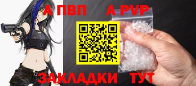 кокс Кингисепп