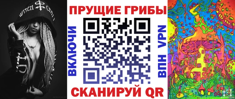 Псилоцибиновые грибы GOLDEN TEACHER  купить наркотики сайты  Новомосковск 