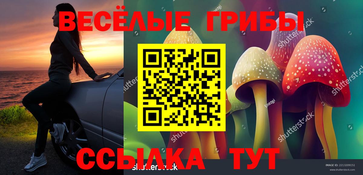 Псилоцибиновые грибы Psilocybe  Вход с VPN  Новомосковск 