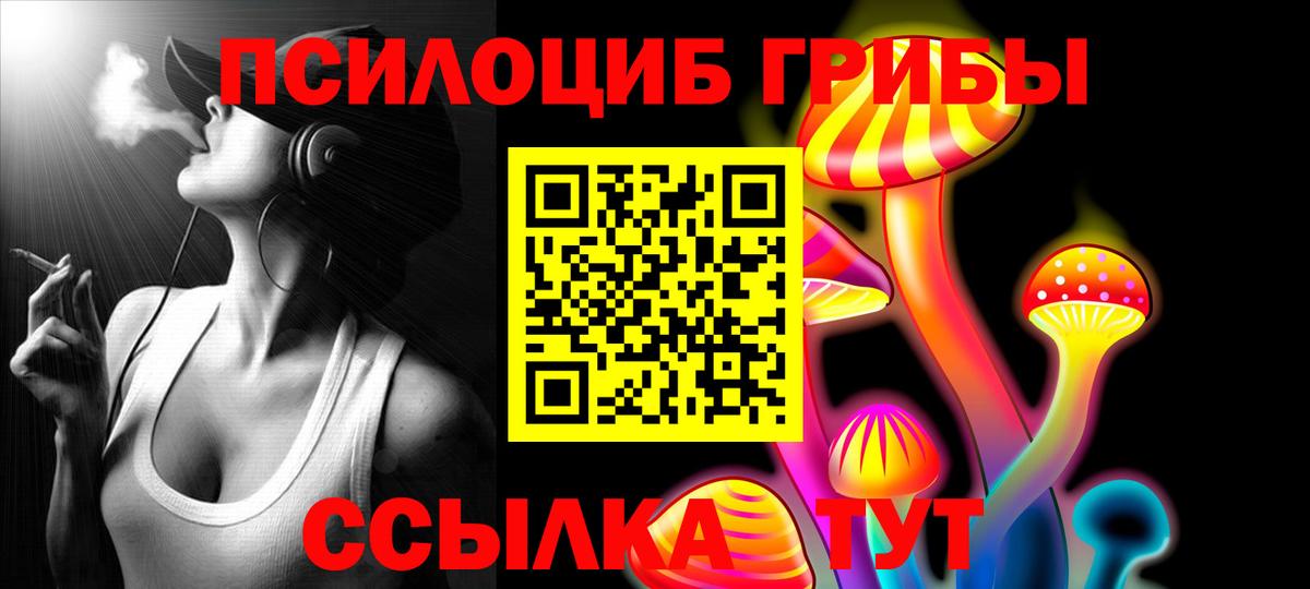 Галлюциногенные грибы Psilocybe  купить   Галлюциногенные грибы прущие грибы  Новомосковск 